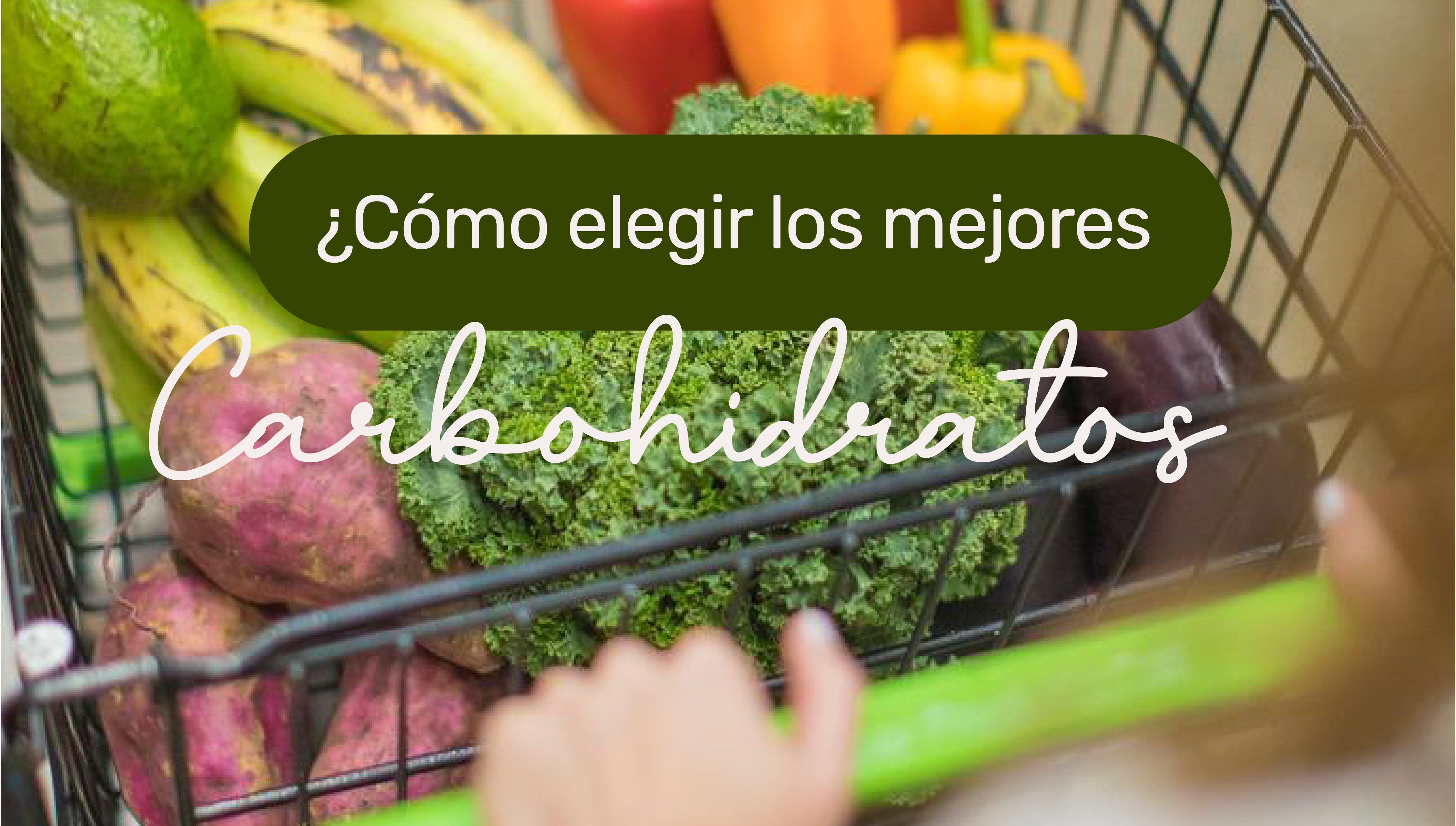 Los mejores carbohidratos para aportar energía y salud